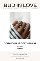 Сертификат 5 000 